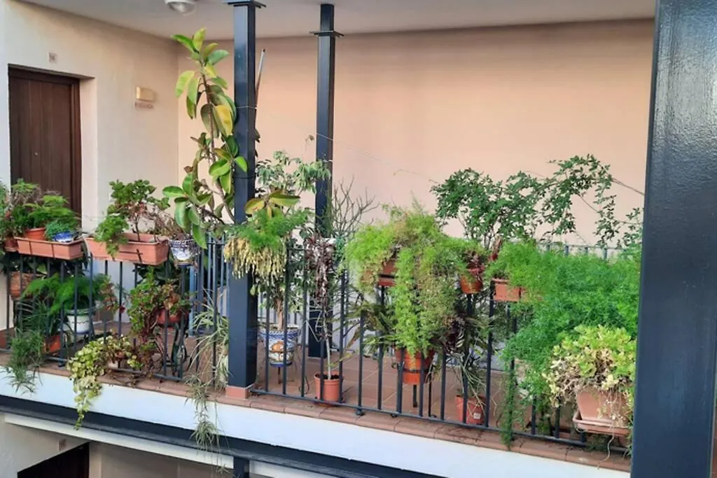 Apartment Triplex Penthouse - City Centre - Atico Con Jacuzzi Y Terraza Privados